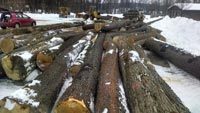 Logs Ready to Haul